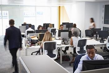 Image of people working at computers in an office 