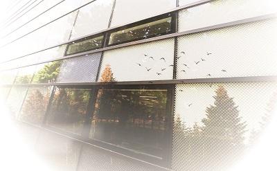 image of outside building with lots of windows