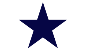 star icon wide