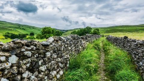 a wall in the countryside 