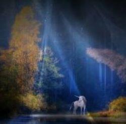 unicorn 