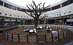 Image of Concrete cows at CMK - Image taken from Wikimedia and authors own work. This file is licensed under the Creative Commons Attribution-Share Alike license.
